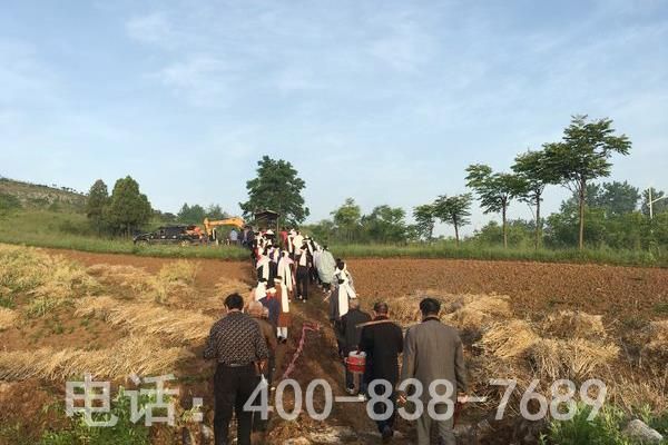 祖坟墓地挖出生物(蛇) 祖坟墓地挖出生物(蛇)